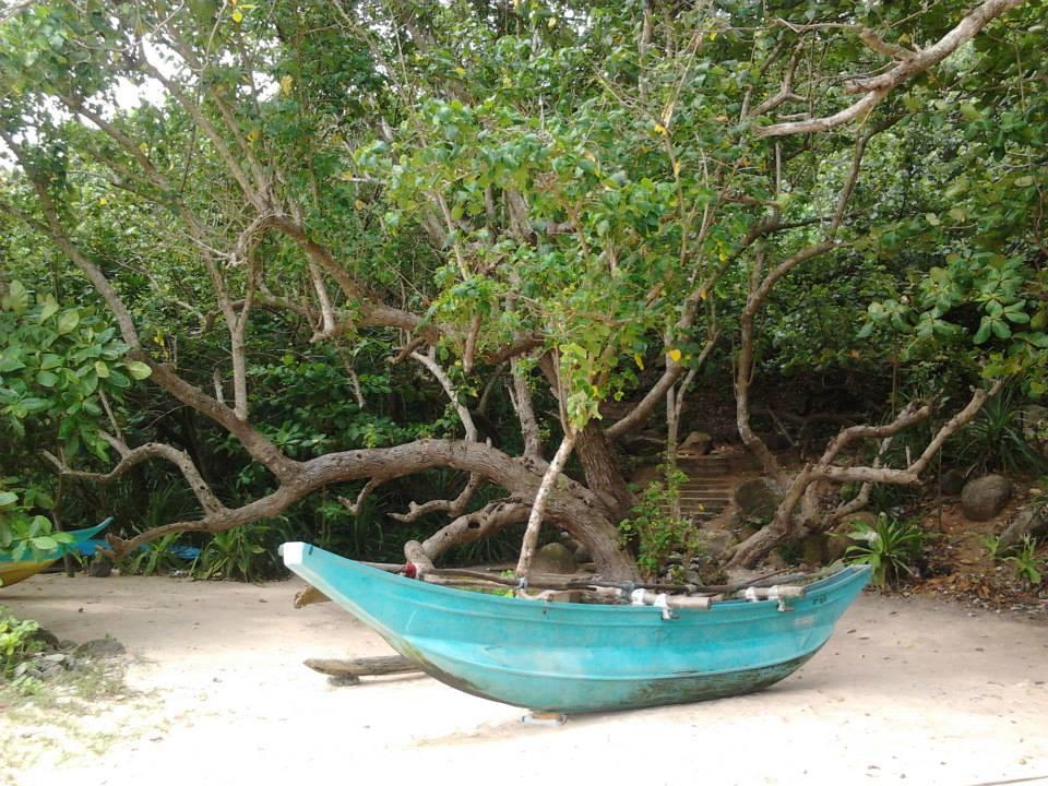 Sleepy Head Guesthouse Unawatuna Eksteriør billede